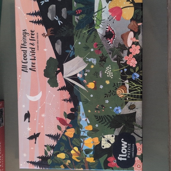 Brand New Flow Puzzle - All Good Things Are Wild & Free - Picture 4 of 4